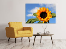 Load image into Gallery viewer, Canvas print Sunflower in bloom