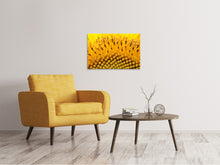 Load image into Gallery viewer, Canvas print The buds of the sunflower in XXL