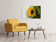 Load image into Gallery viewer, Canvas print Beautiful sunflower
