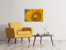 Load image into Gallery viewer, Canvas print Inflorescence of a sunflower