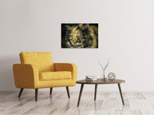 Load image into Gallery viewer, Canvas print Attention cat