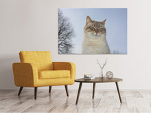 Load image into Gallery viewer, Canvas print Relaxed cat in the nature