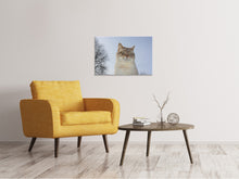 Load image into Gallery viewer, Canvas print Relaxed cat in the nature