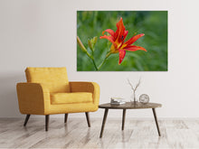 Load image into Gallery viewer, Canvas print Lily blossom in the nature