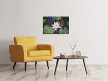 Load image into Gallery viewer, Canvas print The lily pad in white