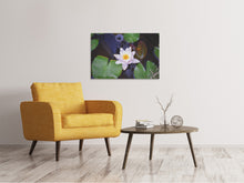 Load image into Gallery viewer, Canvas print The lily pad in white