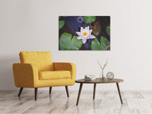 Load image into Gallery viewer, Canvas print The lily pad in white