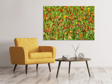 Load image into Gallery viewer, Canvas print hawkweeds