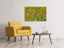 Load image into Gallery viewer, Canvas print hawkweeds