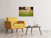 Load image into Gallery viewer, Canvas print A meadow full of flowers