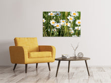 Load image into Gallery viewer, Canvas print XL daisies