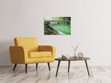 Load image into Gallery viewer, Canvas print The green pond