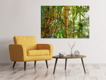 Load image into Gallery viewer, Canvas print Wild bamboo