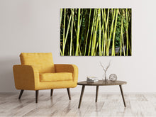 Load image into Gallery viewer, Canvas print Fresh bamboo