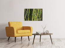 Load image into Gallery viewer, Canvas print Fresh bamboo