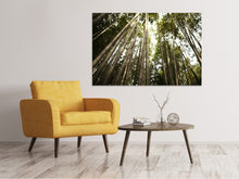 Load image into Gallery viewer, Canvas print Arashiyama Japan