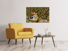 Load image into Gallery viewer, Canvas print Proud Tiger