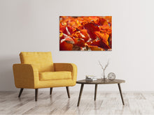 Load image into Gallery viewer, Canvas print Nice autumn leaves