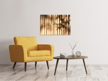 Load image into Gallery viewer, Canvas print Natural bamboo