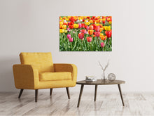 Load image into Gallery viewer, Canvas print A colorful tulip field