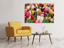 Load image into Gallery viewer, Canvas print The colors of the tulips