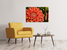 Load image into Gallery viewer, Canvas print Painting of a dahlia