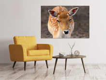 Load image into Gallery viewer, Canvas print The fallow deer