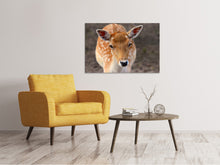 Load image into Gallery viewer, Canvas print The fallow deer