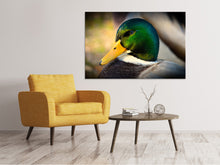 Load image into Gallery viewer, Canvas print The mallard