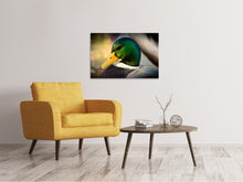 Load image into Gallery viewer, Canvas print The mallard