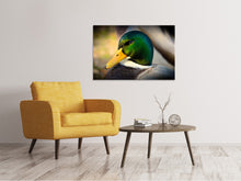 Load image into Gallery viewer, Canvas print The mallard