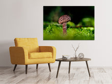 Load image into Gallery viewer, Canvas print Strobilomyces strobilaceus