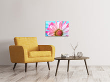 Load image into Gallery viewer, Canvas print Colored flower