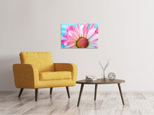 Load image into Gallery viewer, Canvas print Colored flower