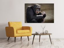 Load image into Gallery viewer, Canvas print Sweet chimpanzee