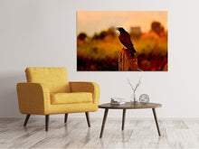 Load image into Gallery viewer, Canvas print The crow in the evening light