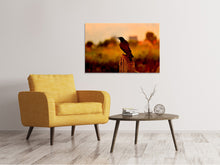 Load image into Gallery viewer, Canvas print The crow in the evening light