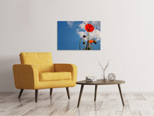 Load image into Gallery viewer, Canvas print Gorgeous poppy