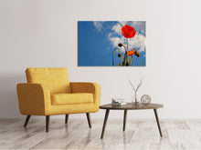 Load image into Gallery viewer, Canvas print Gorgeous poppy