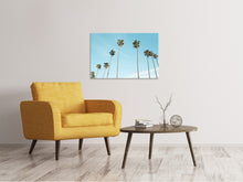 Load image into Gallery viewer, Canvas print A sky full of palm trees