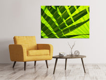 Load image into Gallery viewer, Canvas print The palm leaf in XL