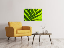 Load image into Gallery viewer, Canvas print The palm leaf in XL