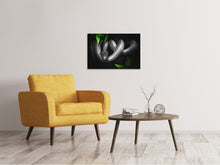 Load image into Gallery viewer, Canvas print Attention snake