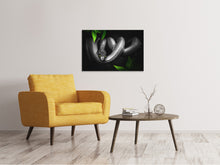 Load image into Gallery viewer, Canvas print Attention snake