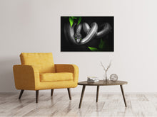 Load image into Gallery viewer, Canvas print Attention snake