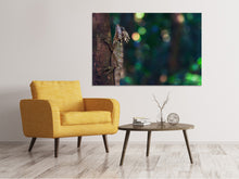 Load image into Gallery viewer, Canvas print The lizard