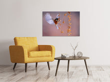 Load image into Gallery viewer, Canvas print Bird in action