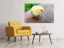 Load image into Gallery viewer, Canvas print The chick