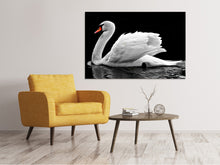 Load image into Gallery viewer, Canvas print The graceful swan