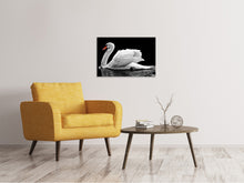 Load image into Gallery viewer, Canvas print The graceful swan